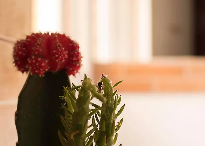 Guest house Europe Station